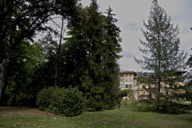 parco1.jpg