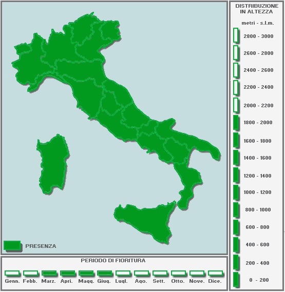 1866984369_CARTINAinBIANCO-TUTTAPIENA.jpg.a599ce74c96632b49edec749b08eabf9.jpg