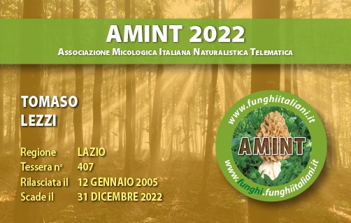 Tessera-AMINT-0407-2022.jpg