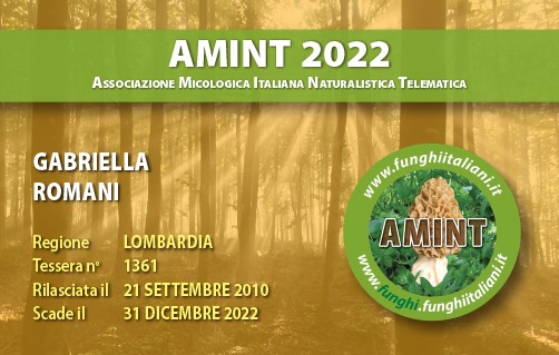 Tessera-AMINT-1361-2022.jpg