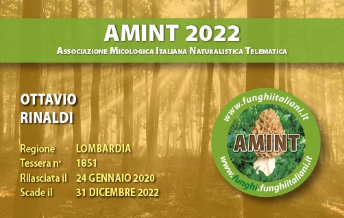 Tessera-AMINT-1851-2022.jpg