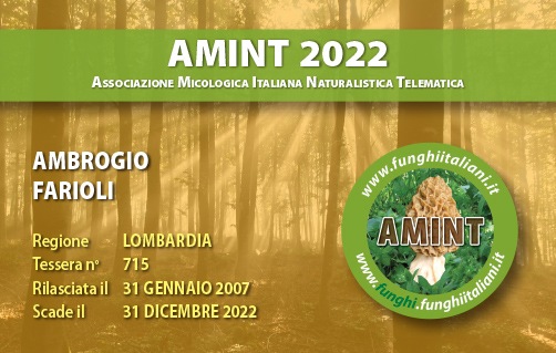 Tessera-AMINT-0715-2022.jpg