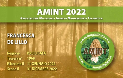 Tessera-AMINT-1968-2022.jpg