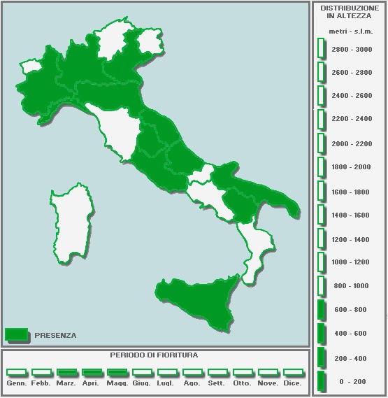 203888939_CARTINAinBIANCO-Copia(2)-Copia-Copia.jpg.4c7b8941b226b6d48130f6b3b0aadd2e.jpg