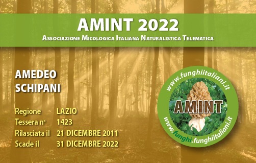 Tessera-AMINT-1423-2022.jpg