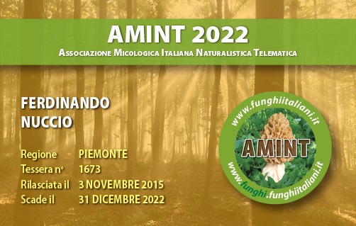 Tessera-AMINT-1673-2022.jpg