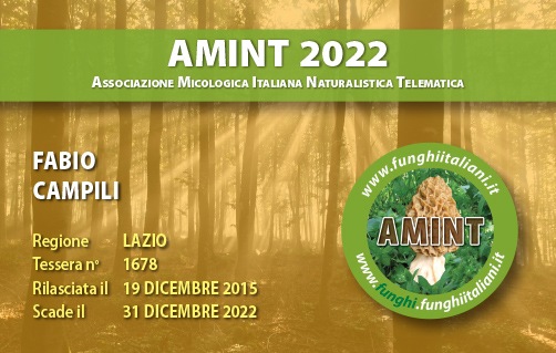Tessera-AMINT-1678-2022.jpg