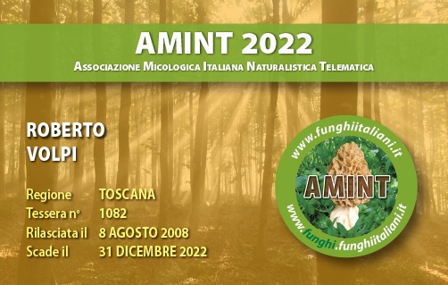 Tessera-AMINT-1082-2022.jpg