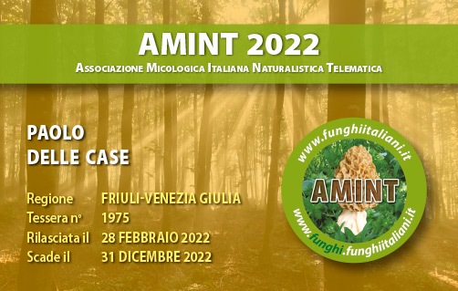 Tessera-AMINT-1975-2022.jpg