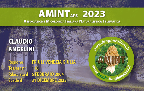 Tessera-AMINT-0116-2023.jpg
