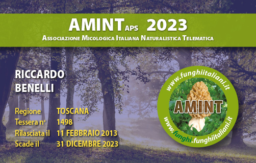Tessera-AMINT-1498-2023.jpg