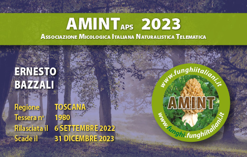 Tessera-AMINT-1980-2023.jpg