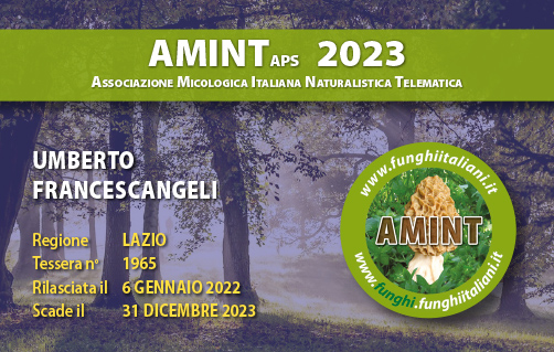 Tessera-AMINT-1965-2023.jpg