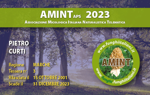 Tessera-AMINT-0003-2023.jpg