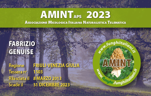 Tessera-AMINT-1503-2023.jpg