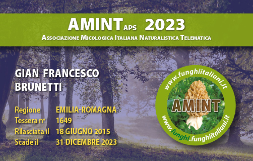 Tessera-AMINT-1649-2023.jpg