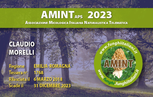 Tessera-AMINT-1768-2023.jpg