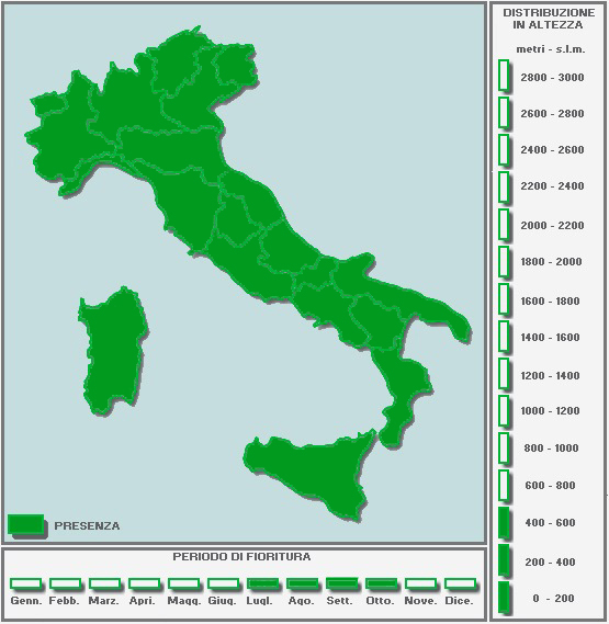 2144512131_CARTINAinBIANCO-TUTTAPIENA-Copia-Copia-Copia(5)-Copia-Copia-Copia.jpg.1187b49f40648ffa2144e1e95424b6e4.jpg