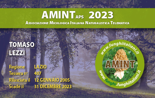 Tessera-AMINT-0407-2023.jpg