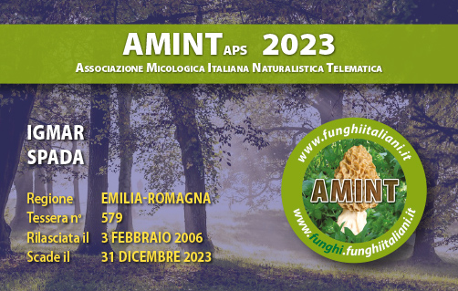 Tessera-AMINT-0579-2023.jpg