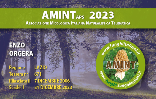 Tessera-AMINT-0671-2023.jpg