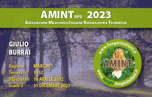 Tessera-AMINT-1452-2023.jpg