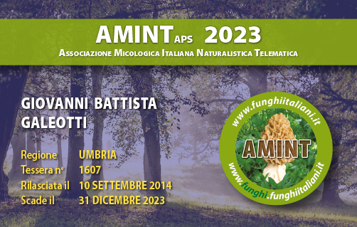 Tessera-AMINT-1607-2023.jpg