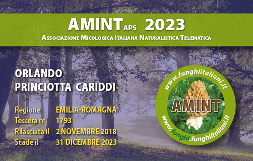 Tessera-AMINT-1793-2023.jpg