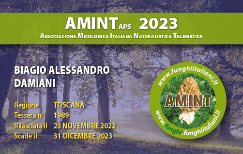 Tessera-AMINT-1989-2023.jpg