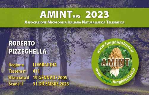 Tessera-AMINT-0411-2023.jpg
