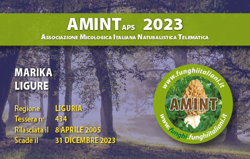 Tessera-AMINT-0434-2023.jpg