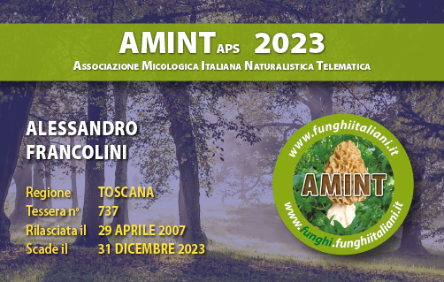 Tessera-AMINT-0737-2023.jpg
