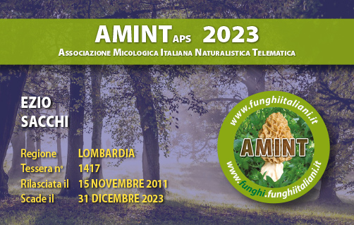 Tessera-AMINT-1417-2023.jpg