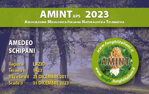 Tessera-AMINT-1423-2023.jpg