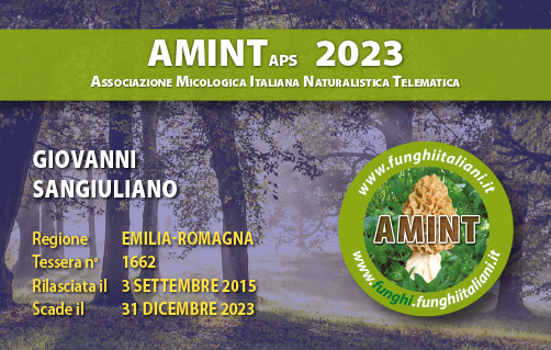 Tessera-AMINT-1662-2023.jpg