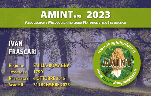 Tessera-AMINT-1790-2023.jpg