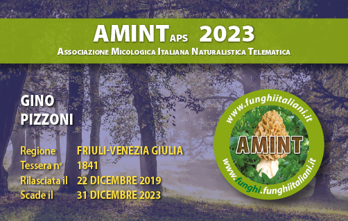 Tessera-AMINT-1841-2023.jpg