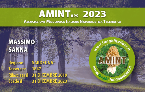 Tessera-AMINT-1847-2023.jpg