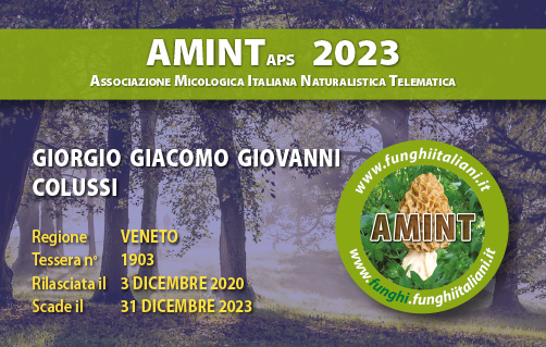 Tessera-AMINT-1903-2023.jpg