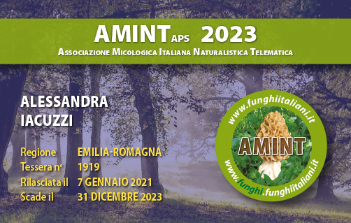 Tessera-AMINT-1919-2023.jpg