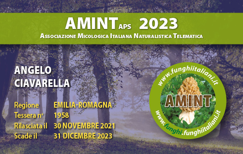 Tessera-AMINT-1958-2023.jpg