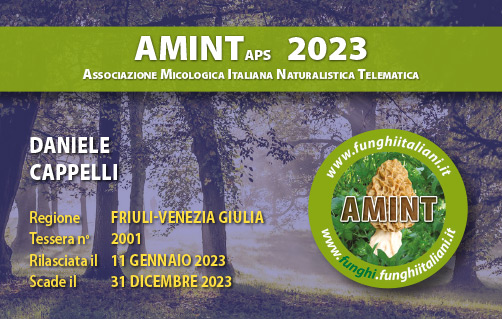 Tessera-AMINT-2001-2023.jpg