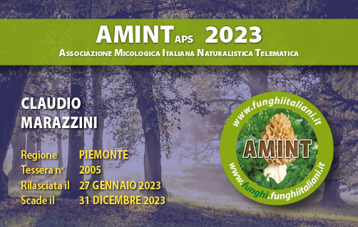 Tessera-AMINT-2005-2023.jpg