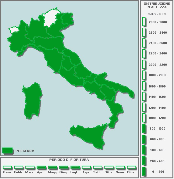 1132331808_CARTINAinBIANCO-Copia-Copia.jpg.ef1647f9a8a1532860fbe74755d484e7.jpg