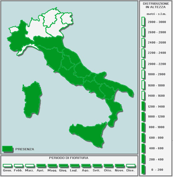 1926042468_CARTINAinBIANCO-Copia-Copia-Copia(5)-Copia-Copia.jpg.0a698bce356c397e9be25e346e637cd1.jpg