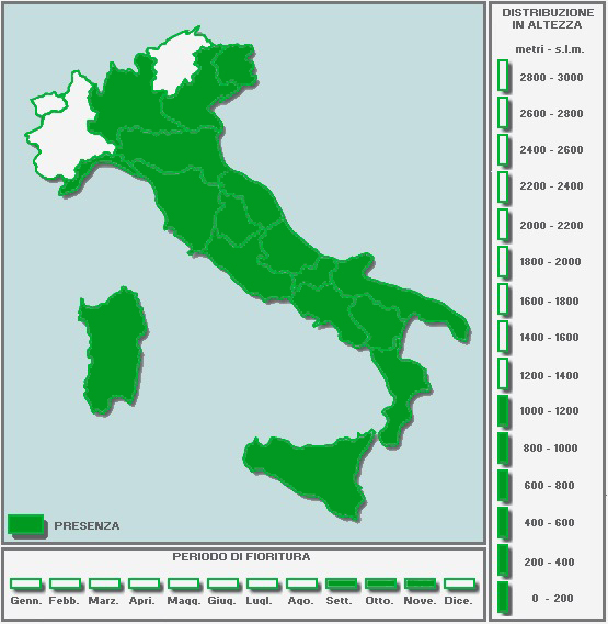 998777098_CARTINAinBIANCO-Copia-Copia-Copia(4)-Copia.jpg.3ec5b2a02d56efcda04d01b5937a3ebb.jpg