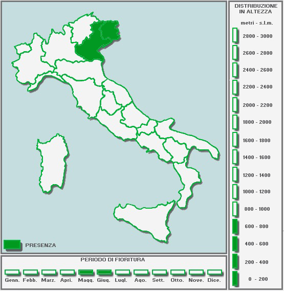 CARTINAinBIANCO-Copia-Copia-Copia-Copia-Copia-Copia(2)-Copia.jpg.6ad1636edc0b6452997d5d884b845581.jpg