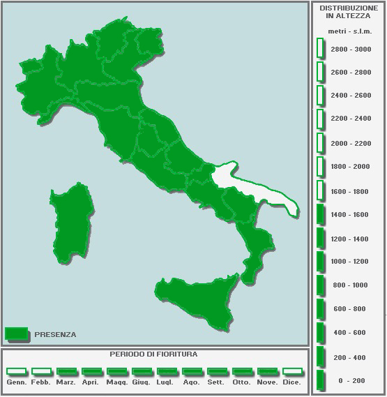 CARTINAinBIANCO-Copia-Copia-Copia-Copia-Copia-Copia(3).jpg.16788037714f6892dd2d7abdd245394f.jpg