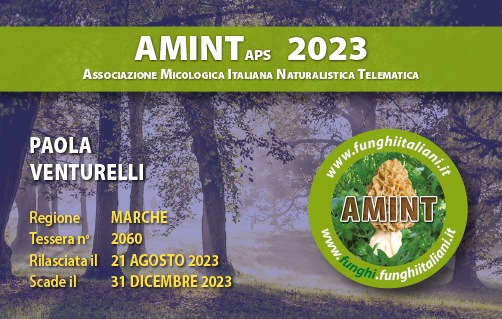Tessera-AMINT-2060-2023.jpg
