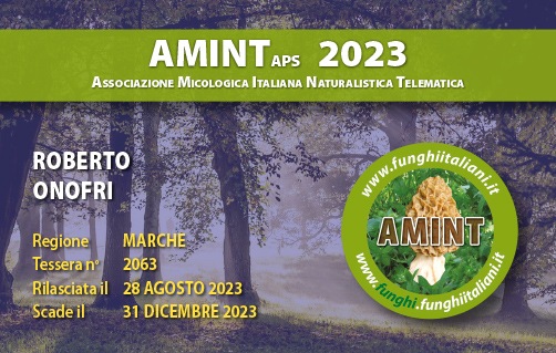 Tessera-AMINT-2063-2023.jpg
